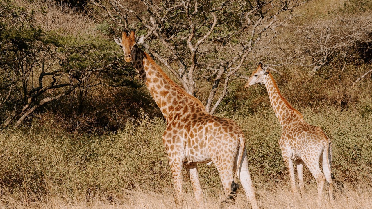 Photo of Outdoor in Pietermaritzburg