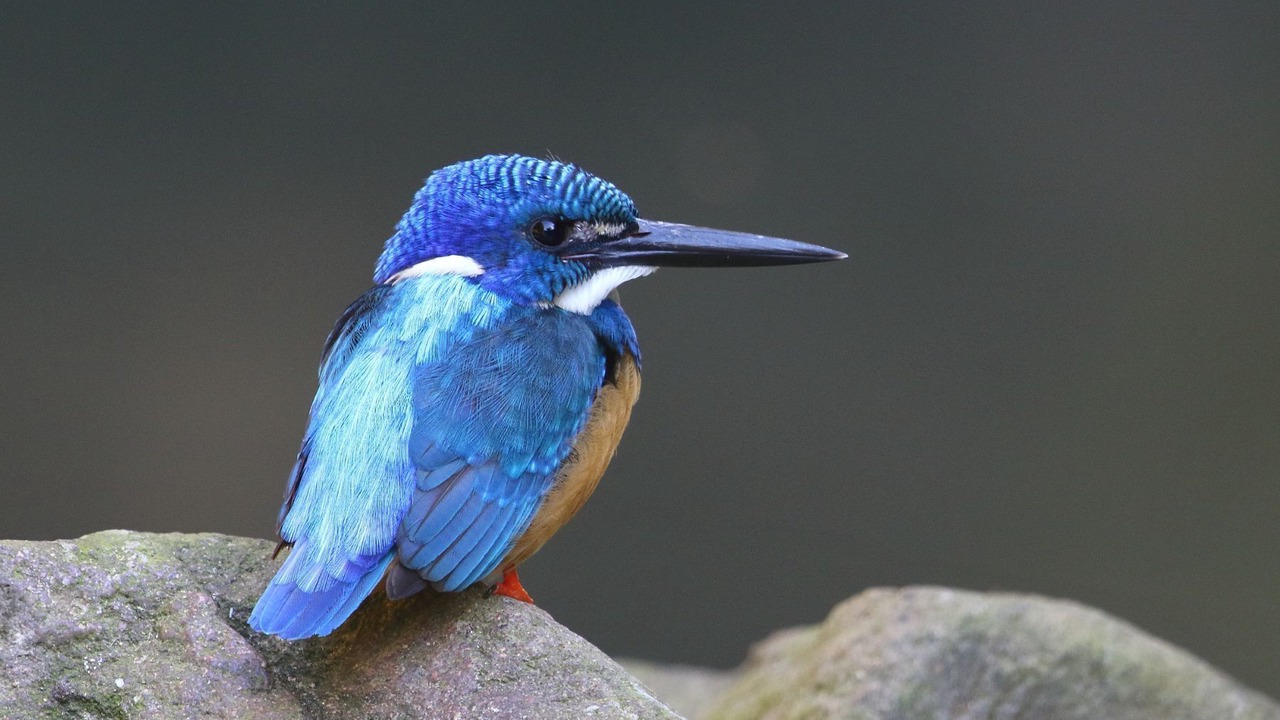 Photo of Others in Pietermaritzburg