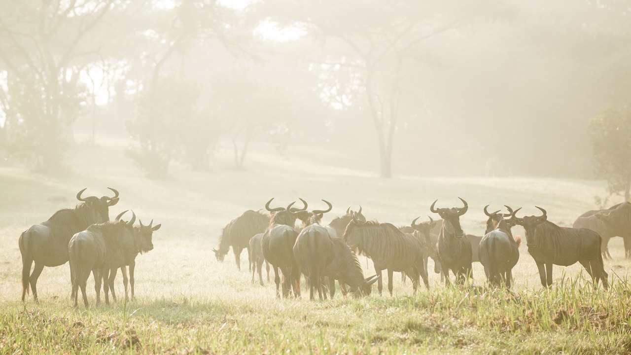 Photo of Others in Pietermaritzburg