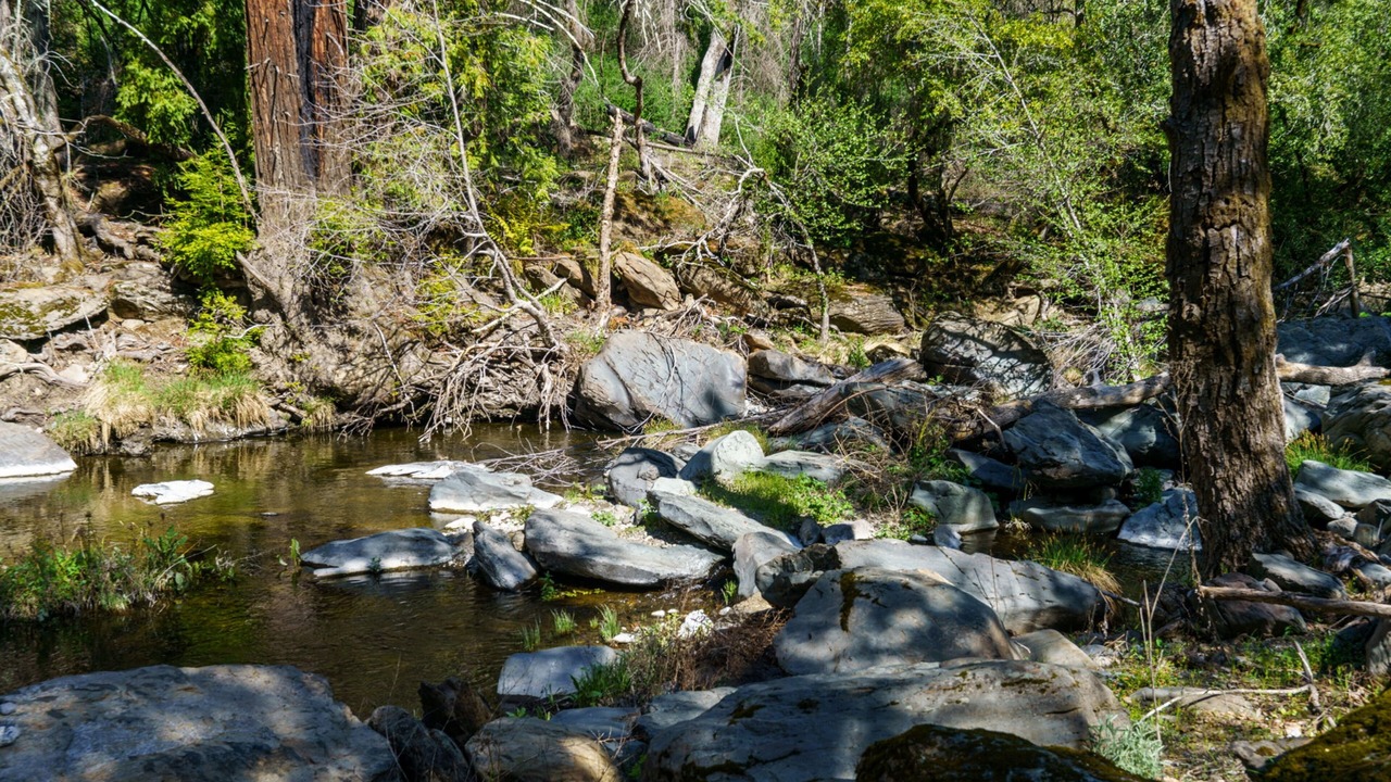 Photo of Others in Santa Rosa