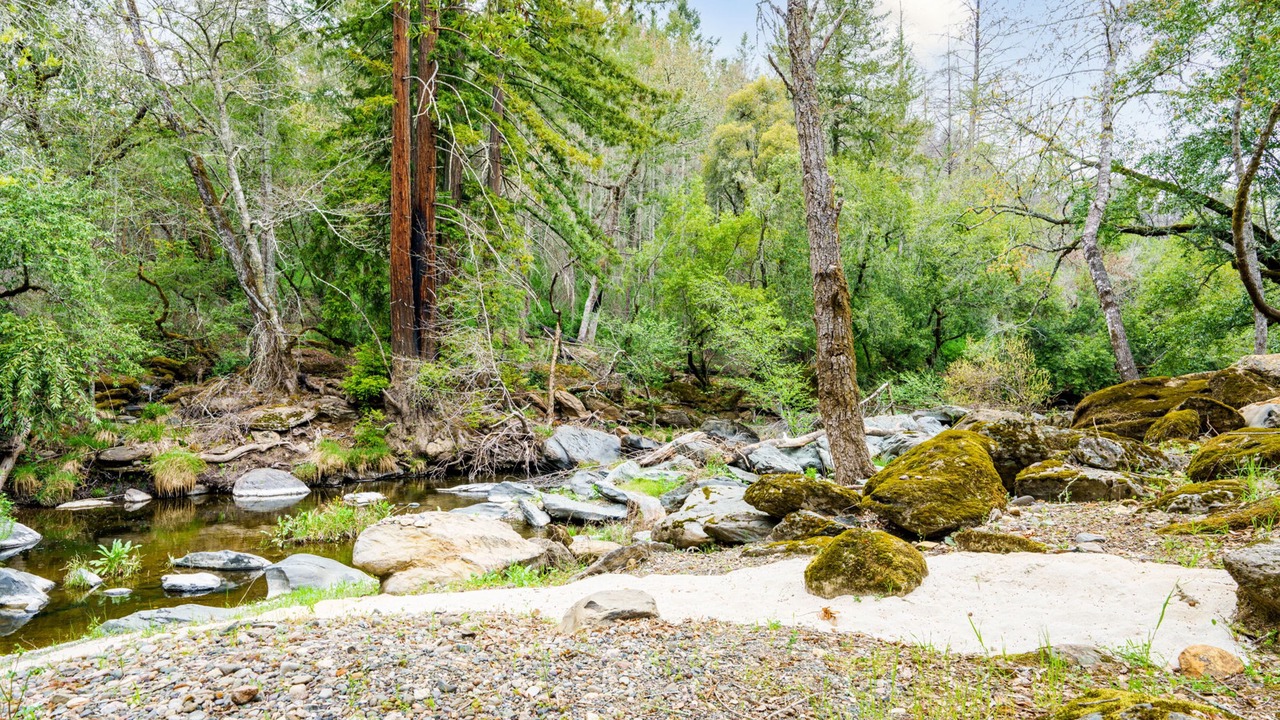 Photo of Others in Santa Rosa