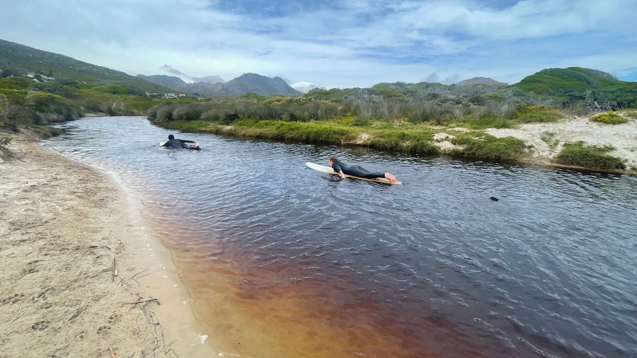 Photo of Others in Cape Peninsula