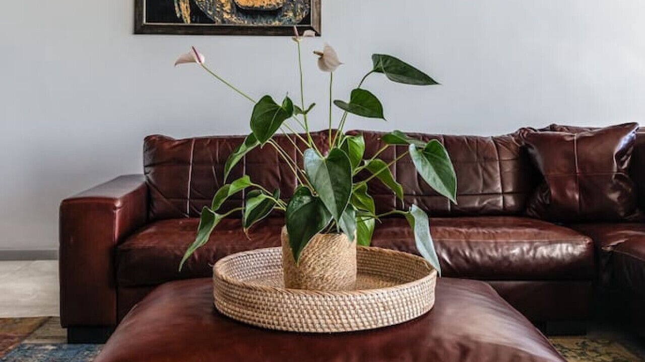 Photo of Livingroom in Green Point
