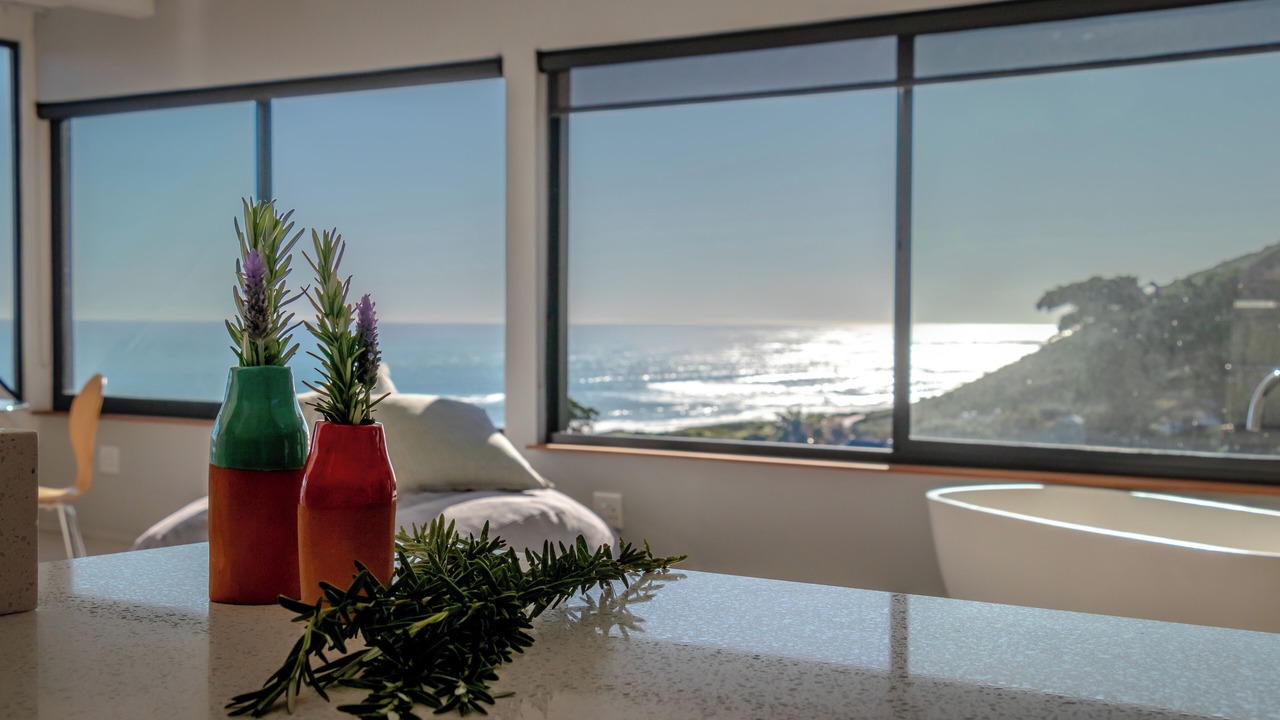 Photo of Others in Cape Peninsula