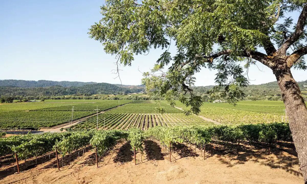 Photo of Outdoor in Geyserville