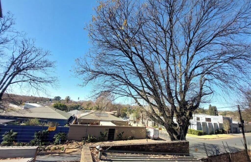 Photo of Outdoor in Houghton Estate