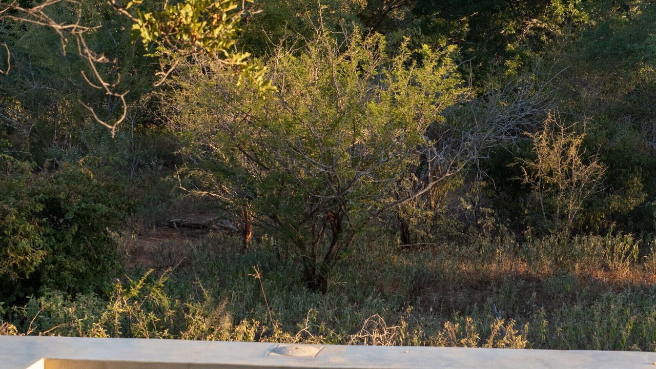 Photo of Outdoor in Hoedspruit