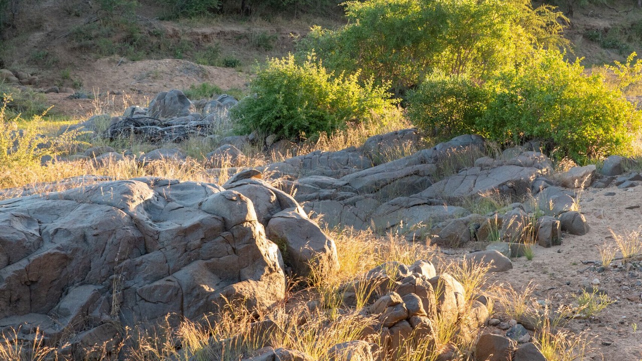 Photo of Others in Hoedspruit