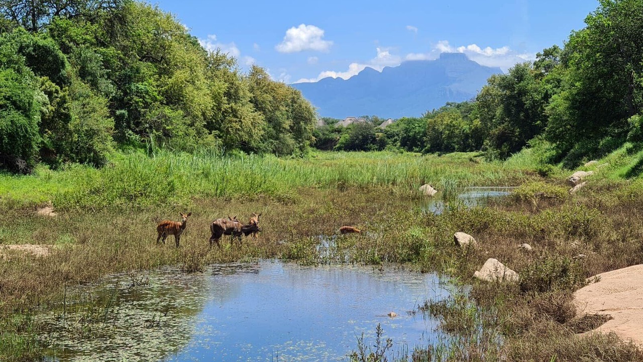 Photo of Outdoor in Hoedspruit