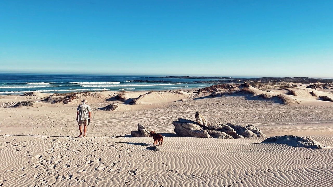 Photo of Others in Betty's Bay