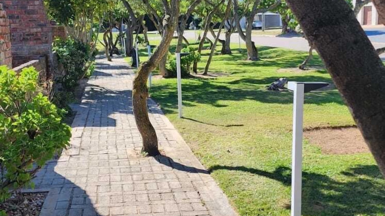 Photo of Outdoor in Still Bay
