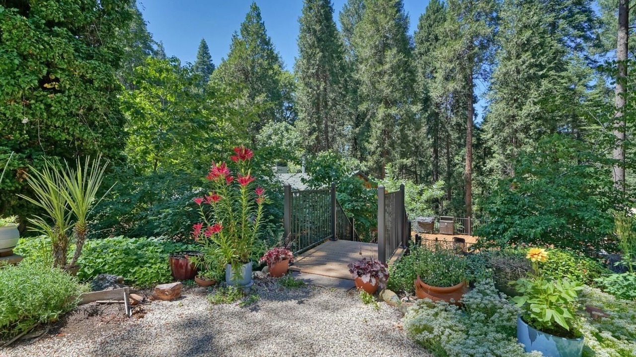 Photo of Outdoor in Apple Hill