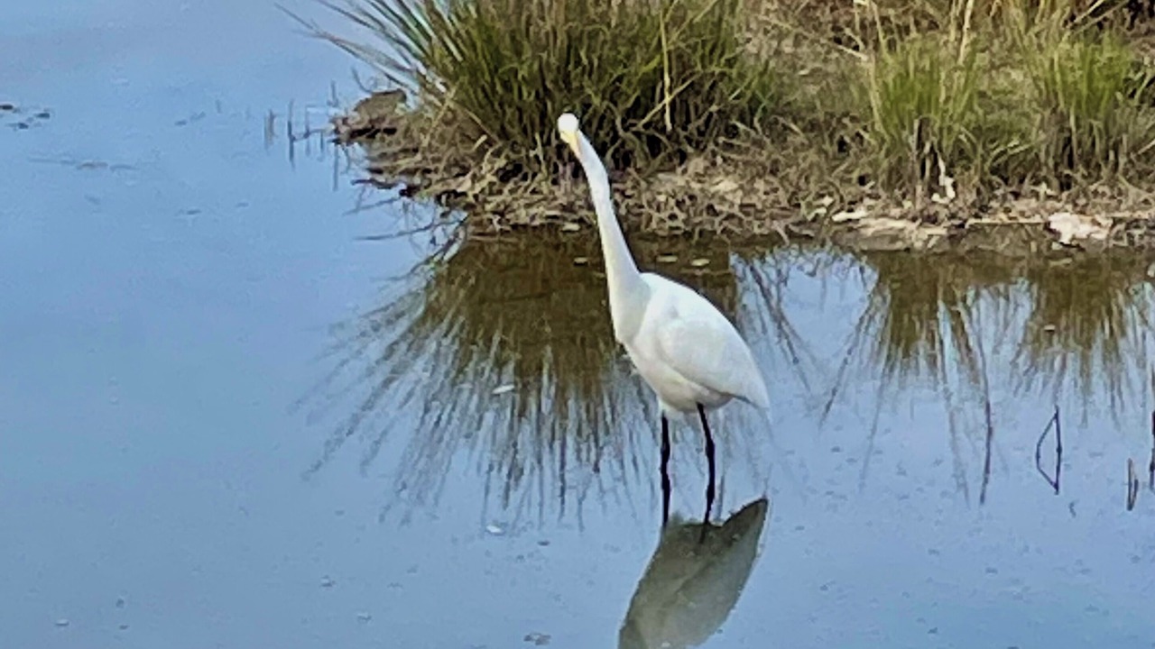 Photo of Others in Emeryville