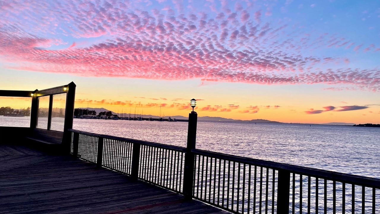 Photo of Patio Balcony in Emeryville