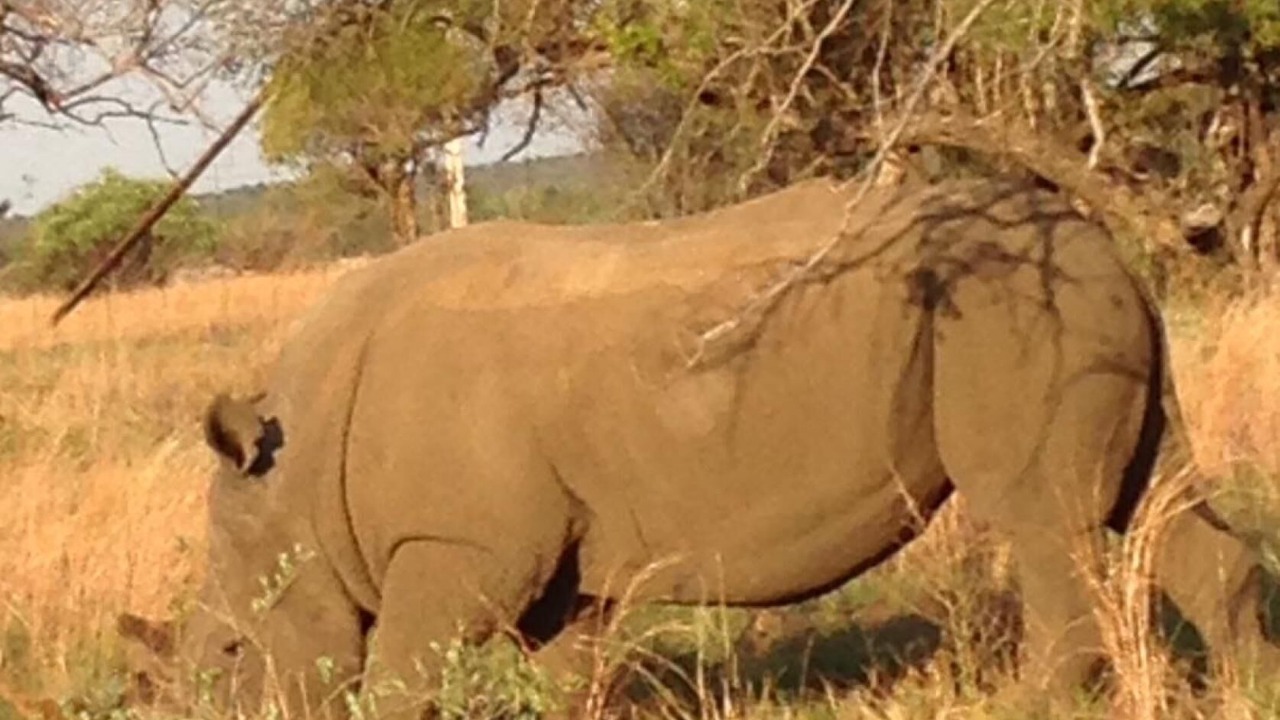 Photo of Others in Hammanskraal