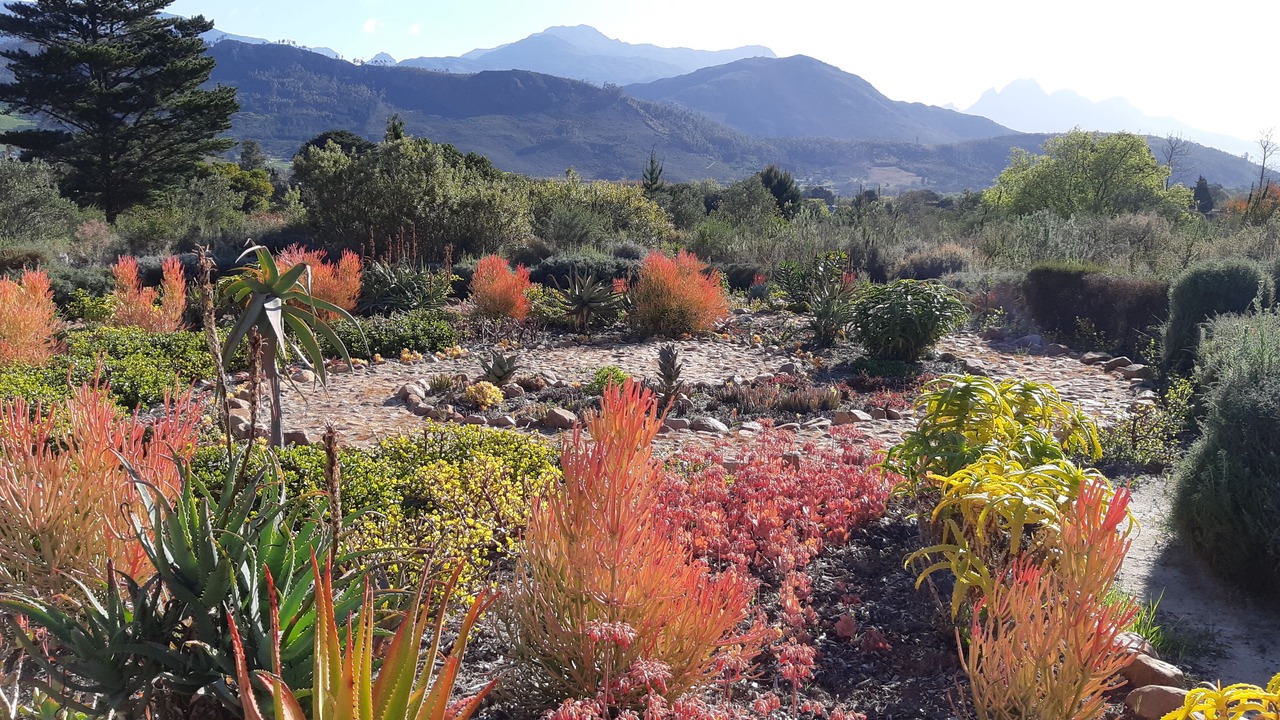 Photo of Outdoor in Franschhoek