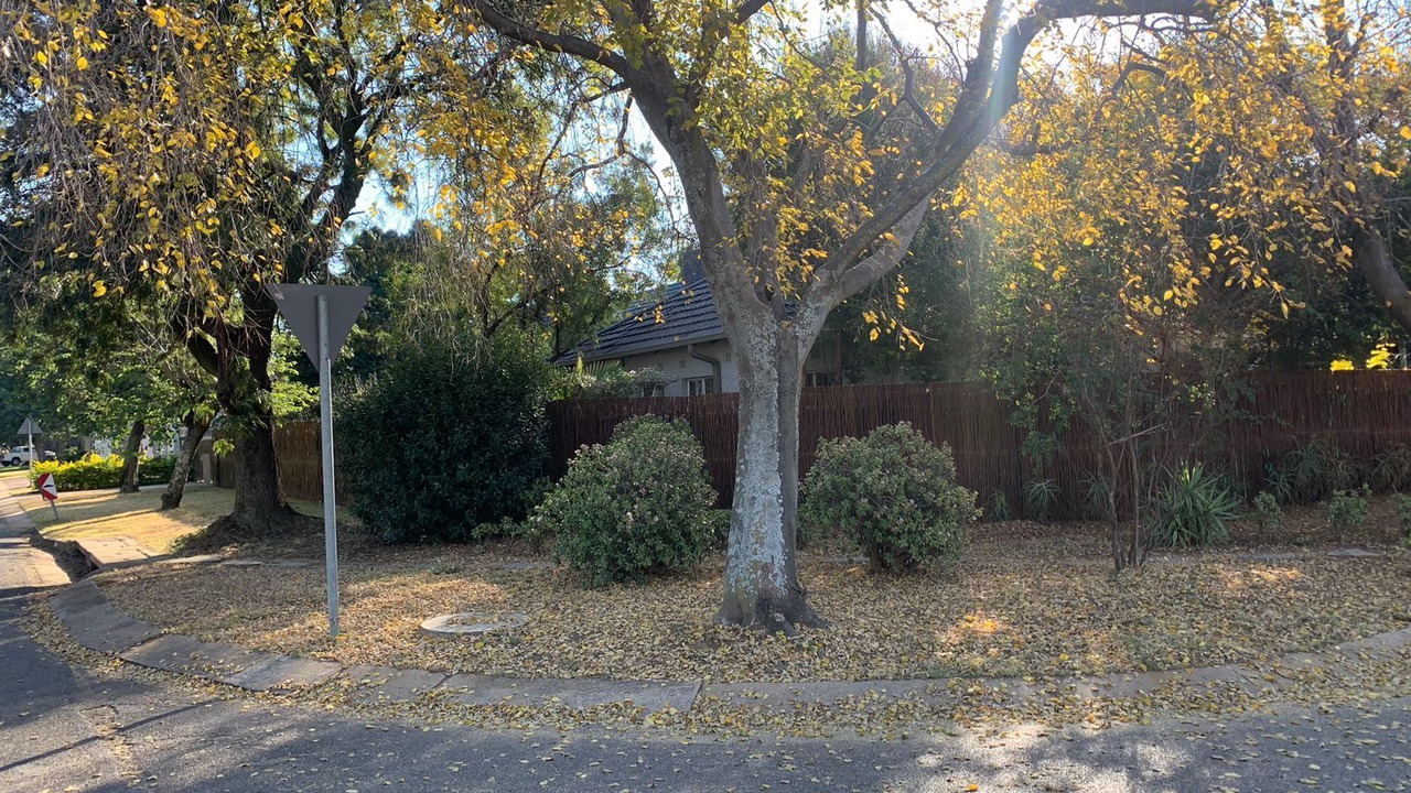 Photo of Outdoor in Queenswood