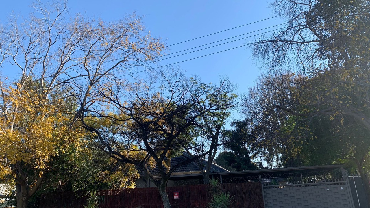 Photo of Outdoor in Queenswood