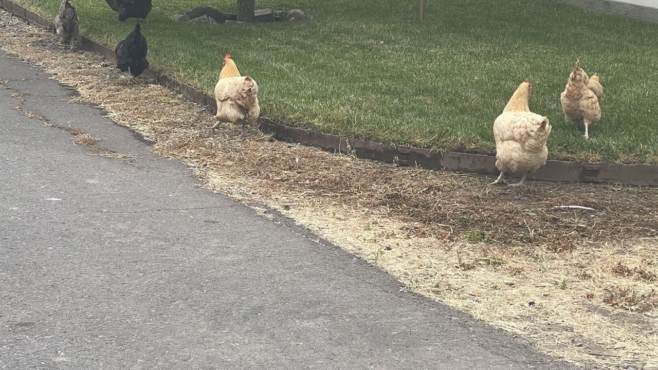 Photo of Others in Vineburg