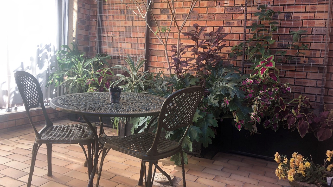 Photo of Outdoor in Nelspruit