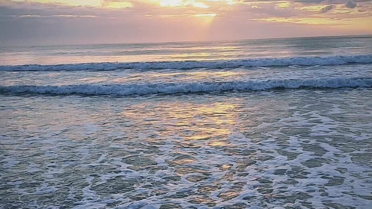 Photo of Others in Struisbaai