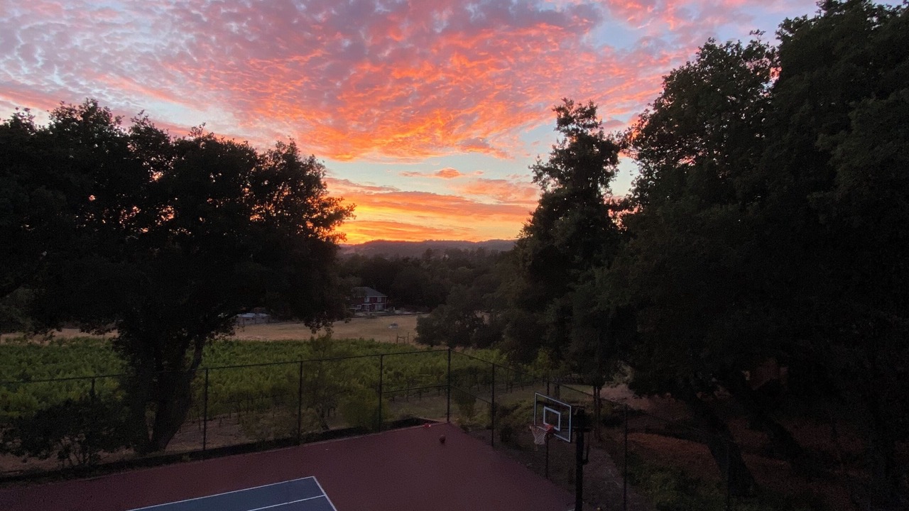 Photo of Others in Sonoma