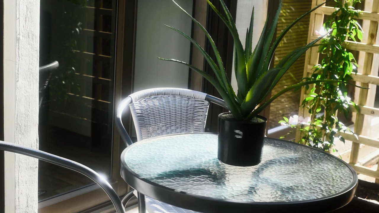 Photo of Outdoor in Stellenbosch