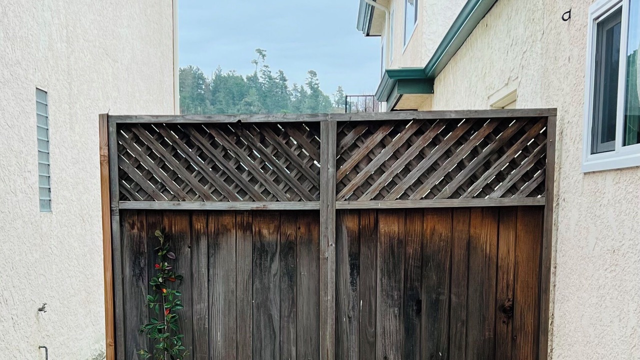 Photo of Outdoor in Cambria