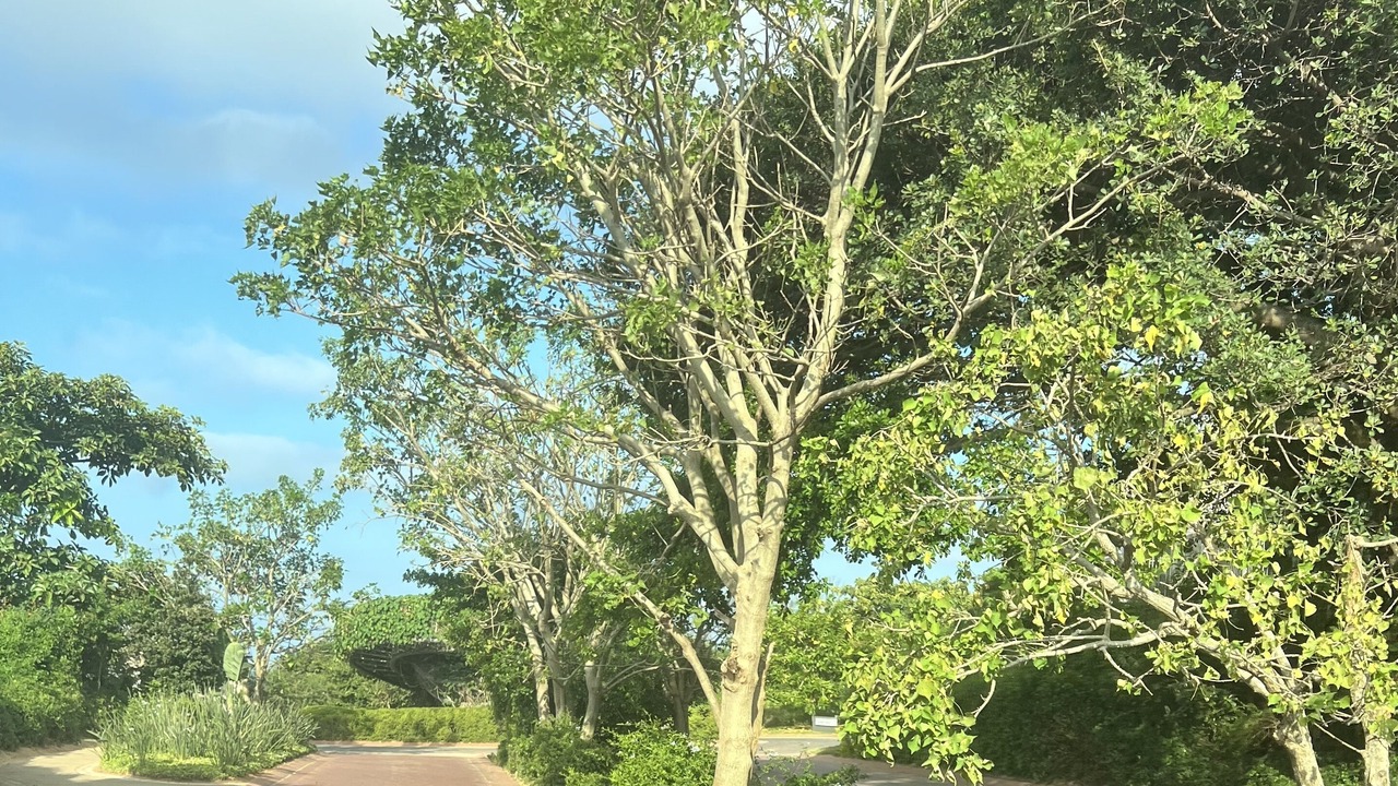 Photo of Outdoor in Salt Rock