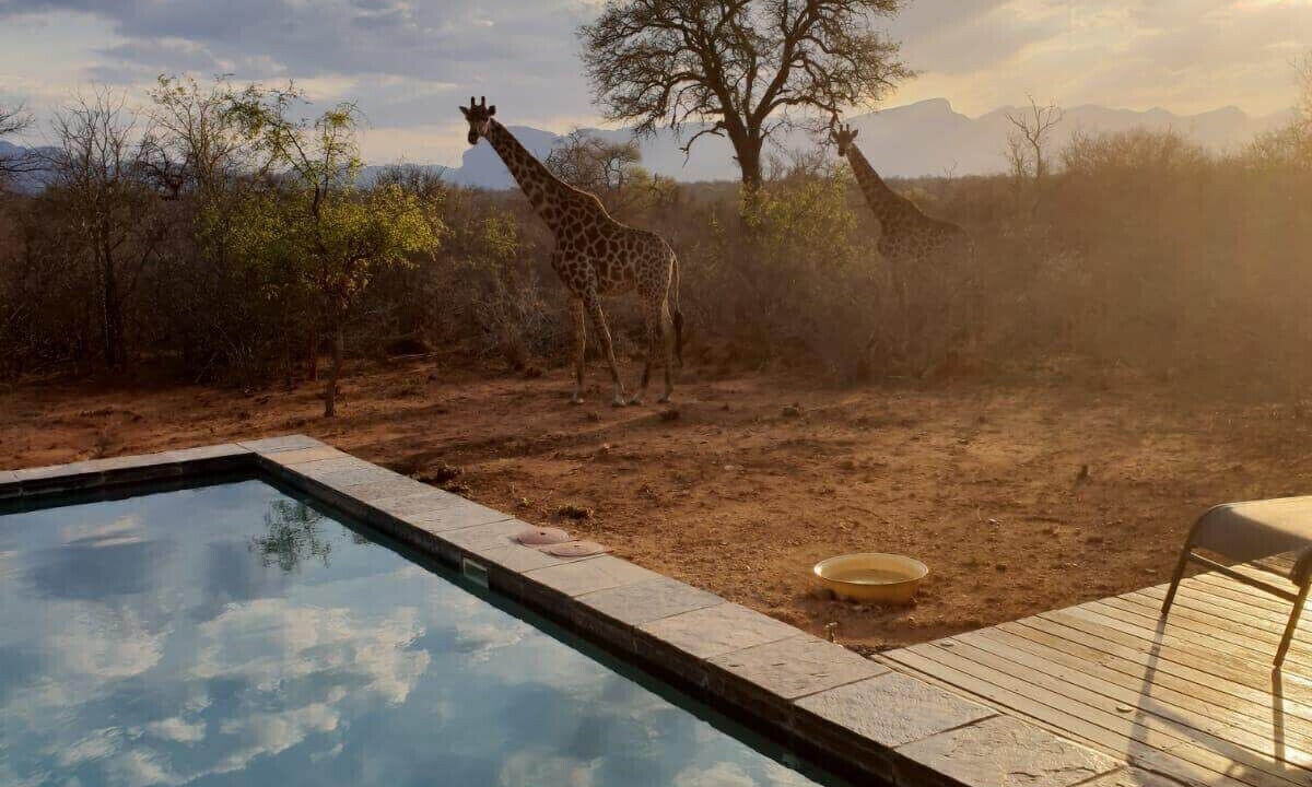 Photo of Outdoor in Hoedspruit