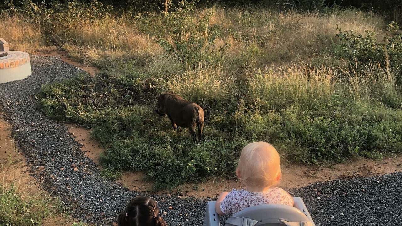 Photo of Outdoor in Hoedspruit