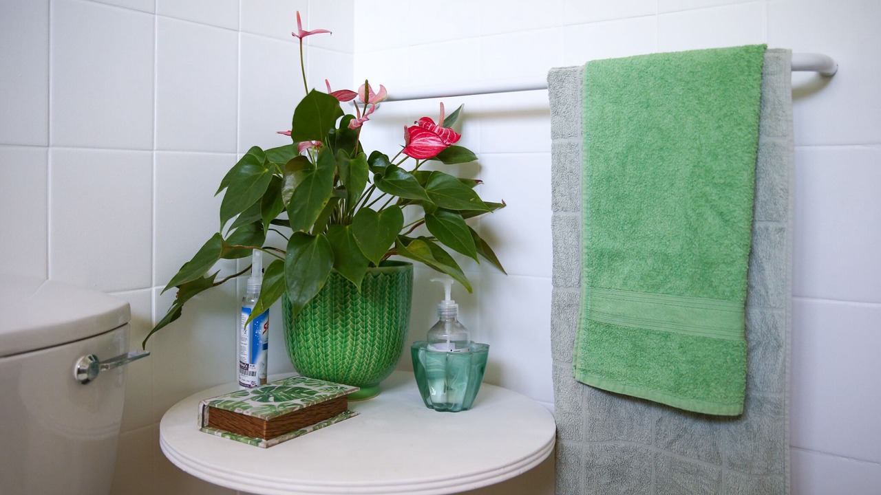 Photo of Bathroom in Somerset West