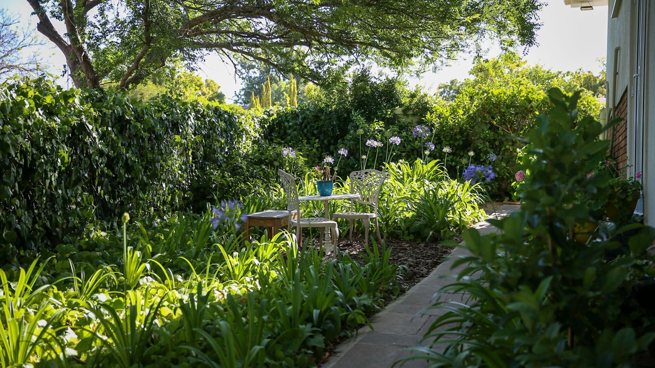 Photo of Outdoor in Somerset West