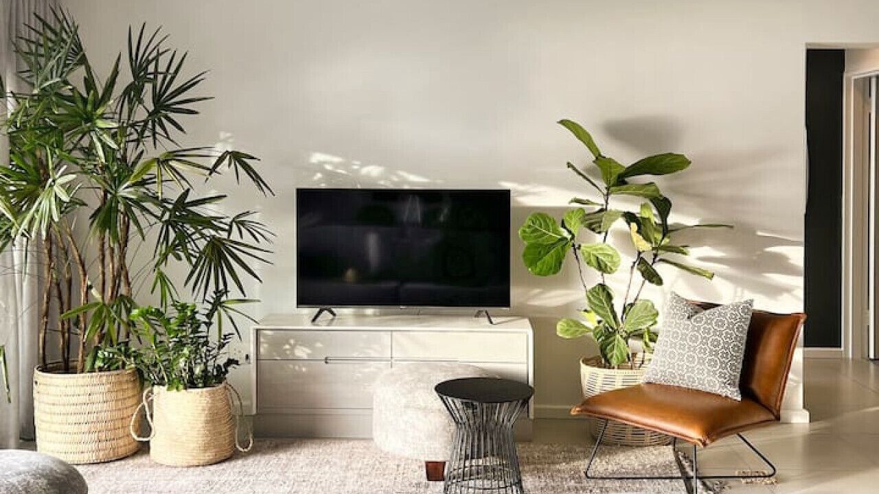 Photo of Livingroom in Clifton