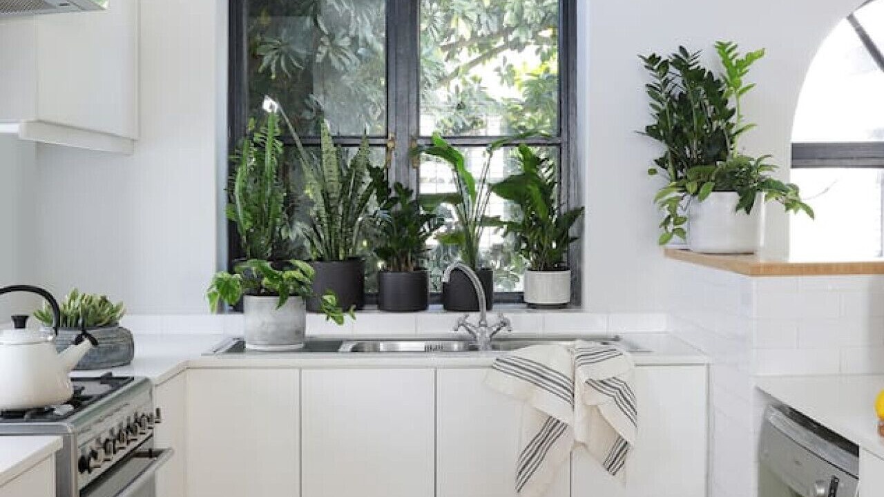 Photo of Kitchen in Sea Point