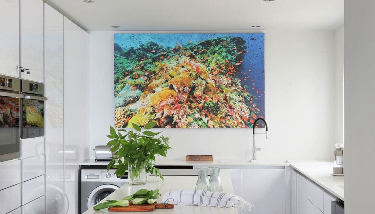 Photo of Kitchen in Clifton