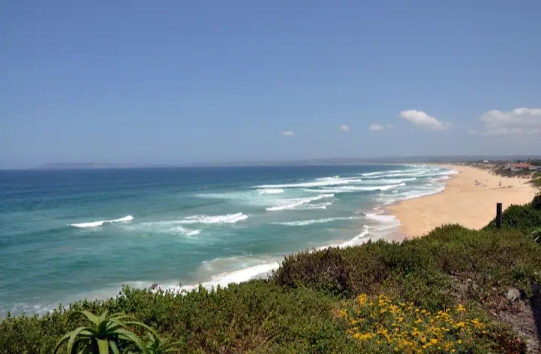 Photo of Others in Plettenberg Bay