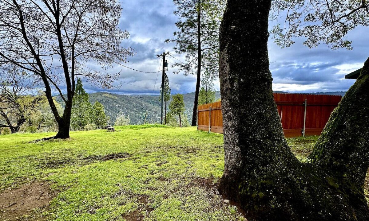 Photo of Outdoor in Fair Play