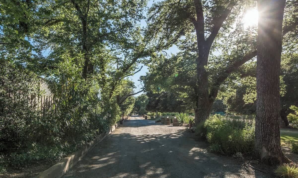 Photo of Others in Sonoma