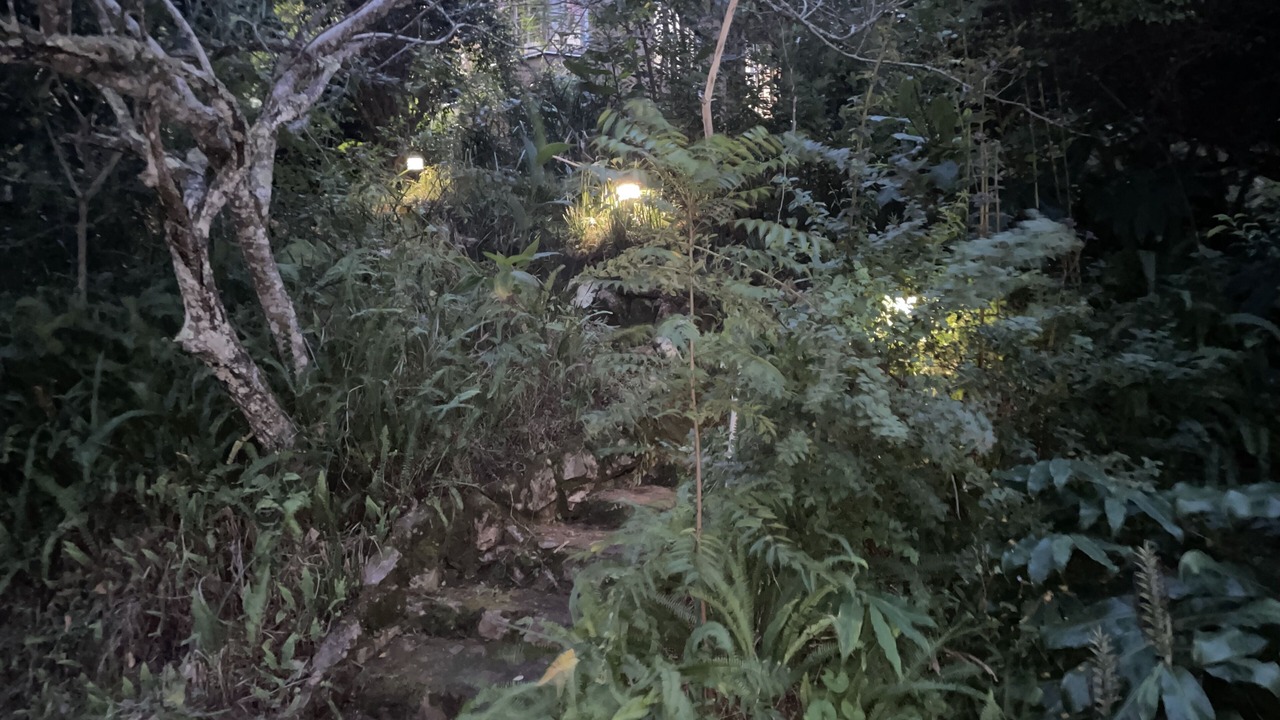 Photo of Outdoor in Gillitts