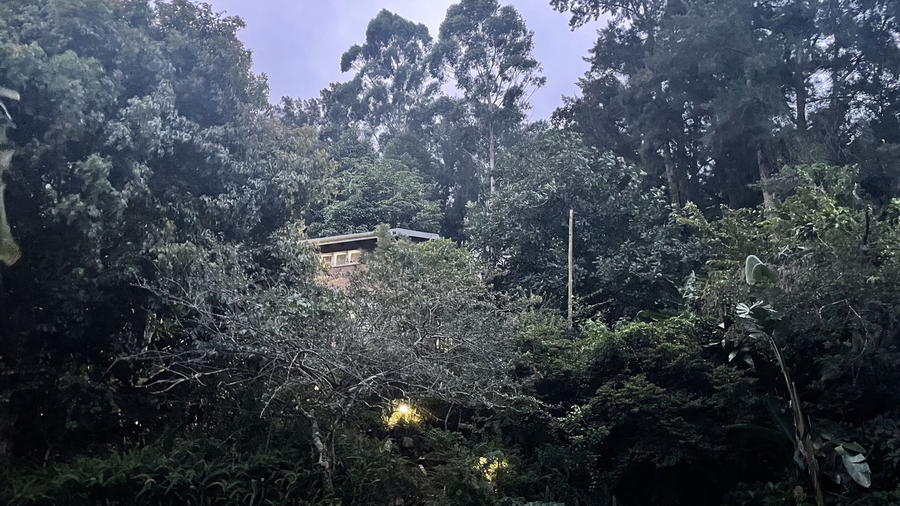 Photo of Outdoor in Gillitts
