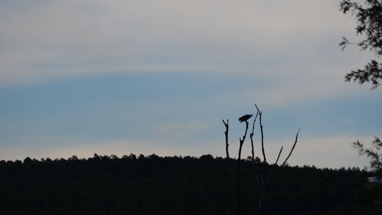 Photo of Others in Greytown