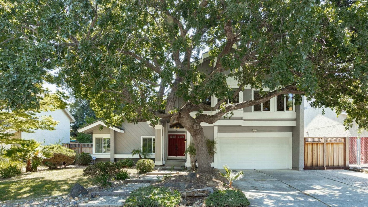 Photo of Others in East San Jose