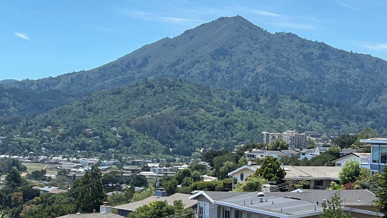 Photo of Others in Greenbrae