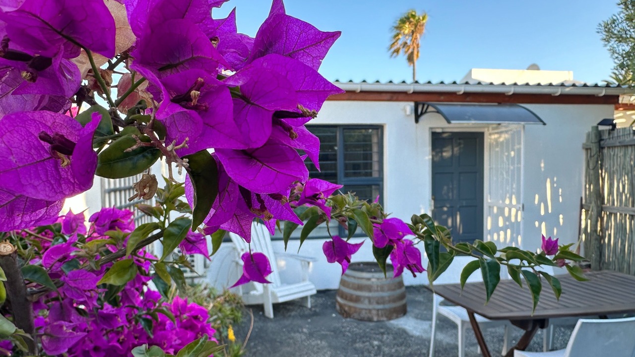 Photo of Outdoor in Marina da Gama