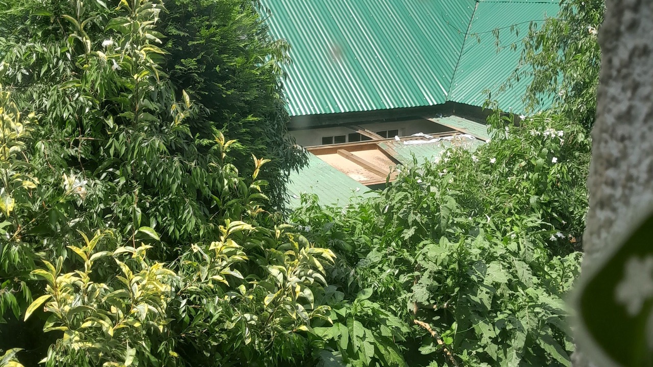 Photo of Outdoor in Boksburg
