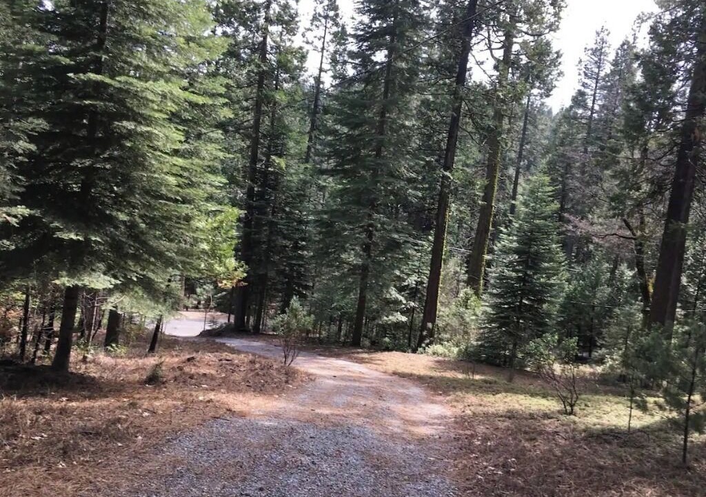 Photo of Outdoor in West Point
