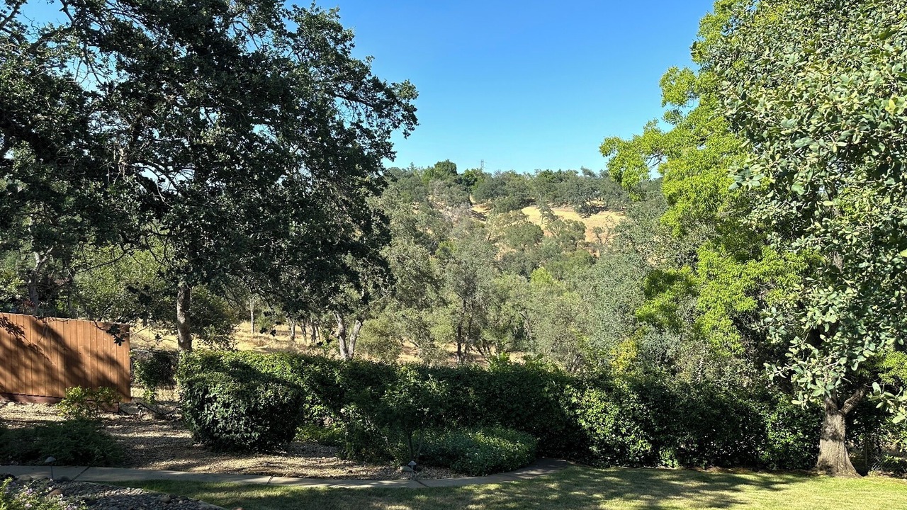 Photo of Others in American River Canyon