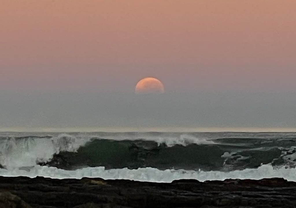 Photo of Others in Kommetjie