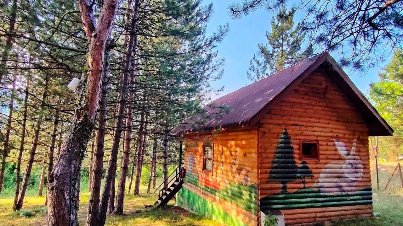 Photo of Outdoor in Mengen